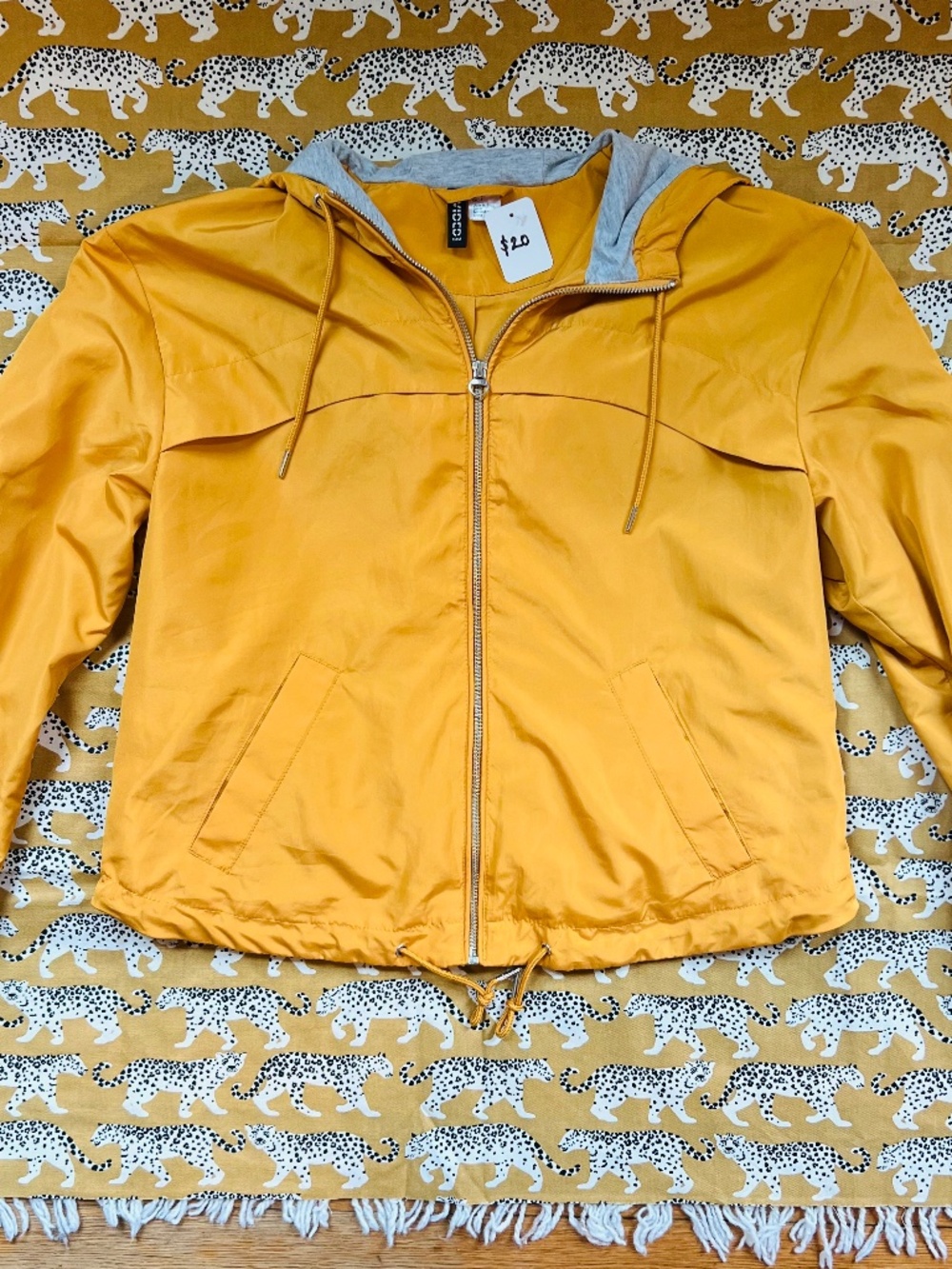 Windbreaker - Picture 5 of 9